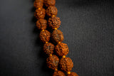 Collier Traditionnel Rudraksha en Perles Naturelles