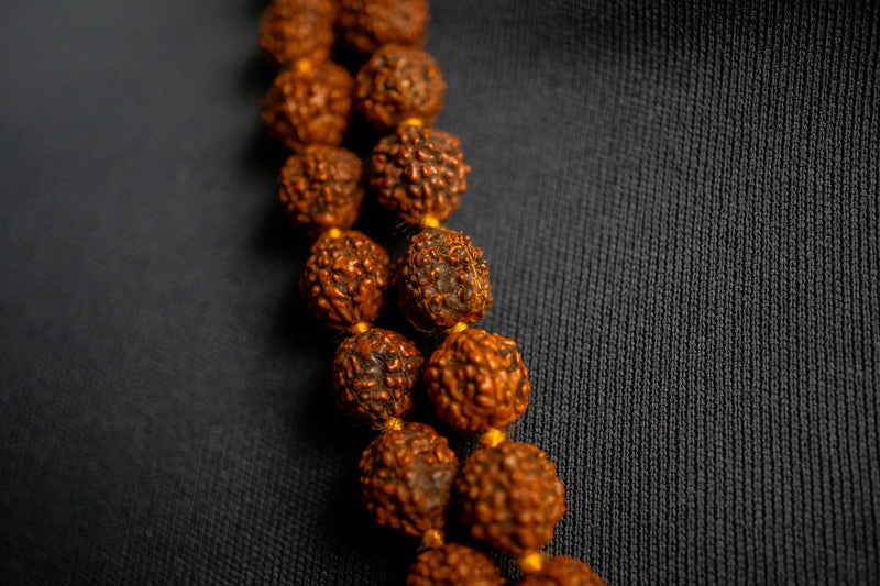 Collier Traditionnel Rudraksha en Perles Naturelles