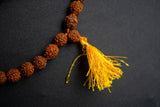Collier Traditionnel Rudraksha en Perles Naturelles