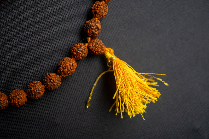Collier Traditionnel Rudraksha en Perles Naturelles
